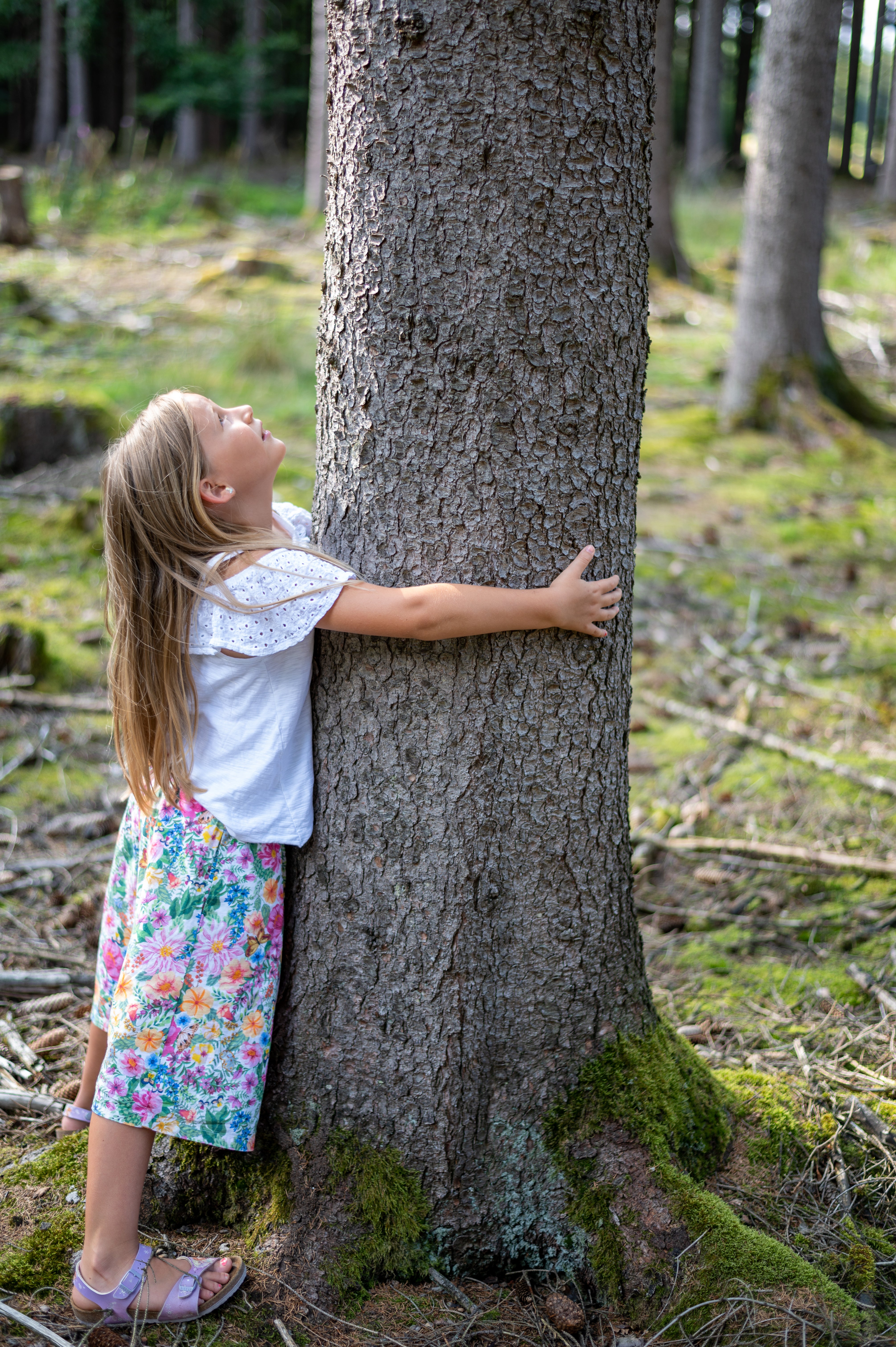 Kind umarmt einen Baum im Wald als Symbol für Nachhaltigkeit und Baumpflanzung in Zusammenarbeit mit Planet Tree