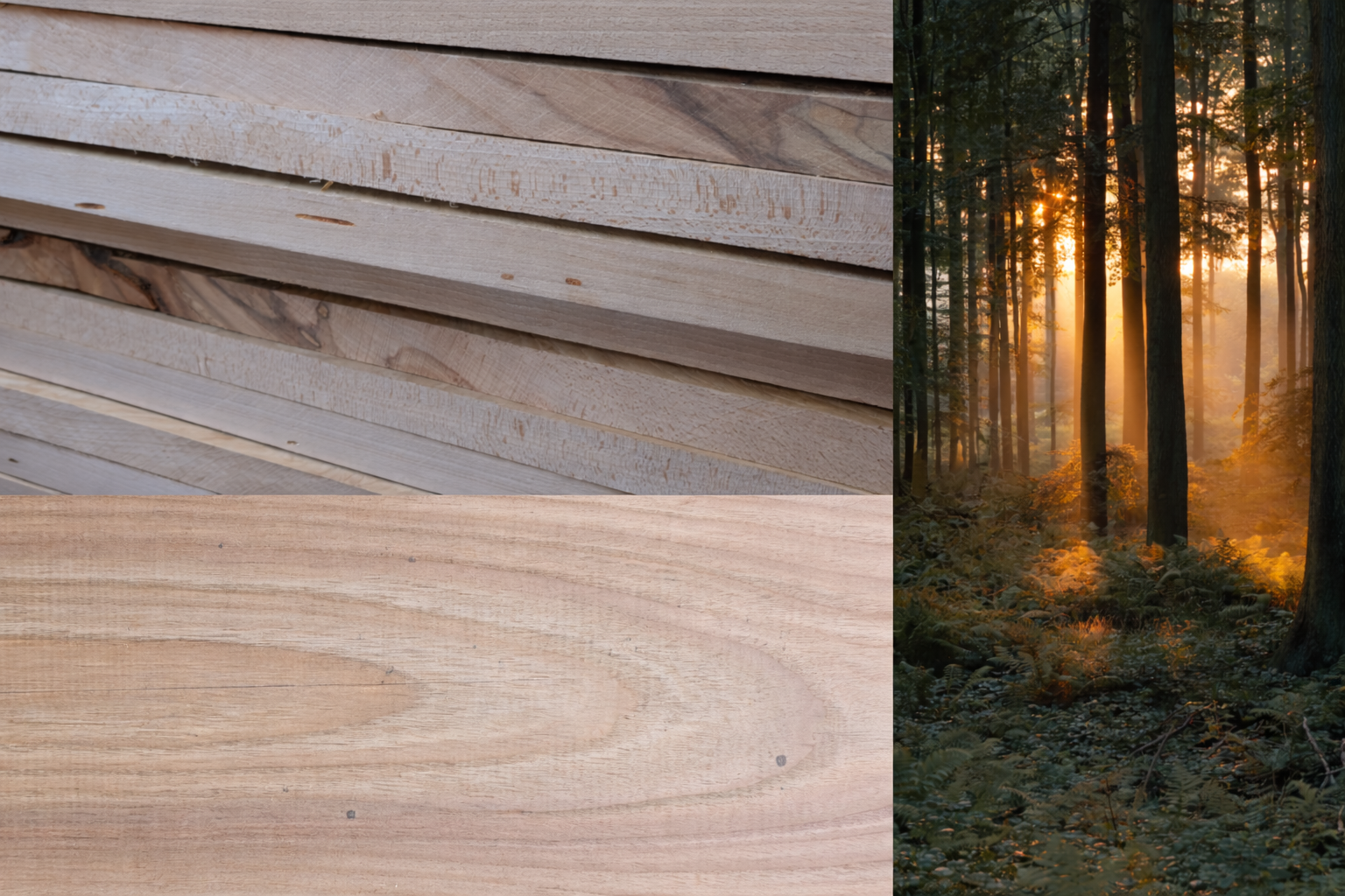 Eiche Massivholz im Rohzustand – Holzbohlen aus regionaler Herkunft, nachhaltige Forstwirtschaft, Ausgangsmaterial für handgefertigte Schneidebretter aus Massivholz