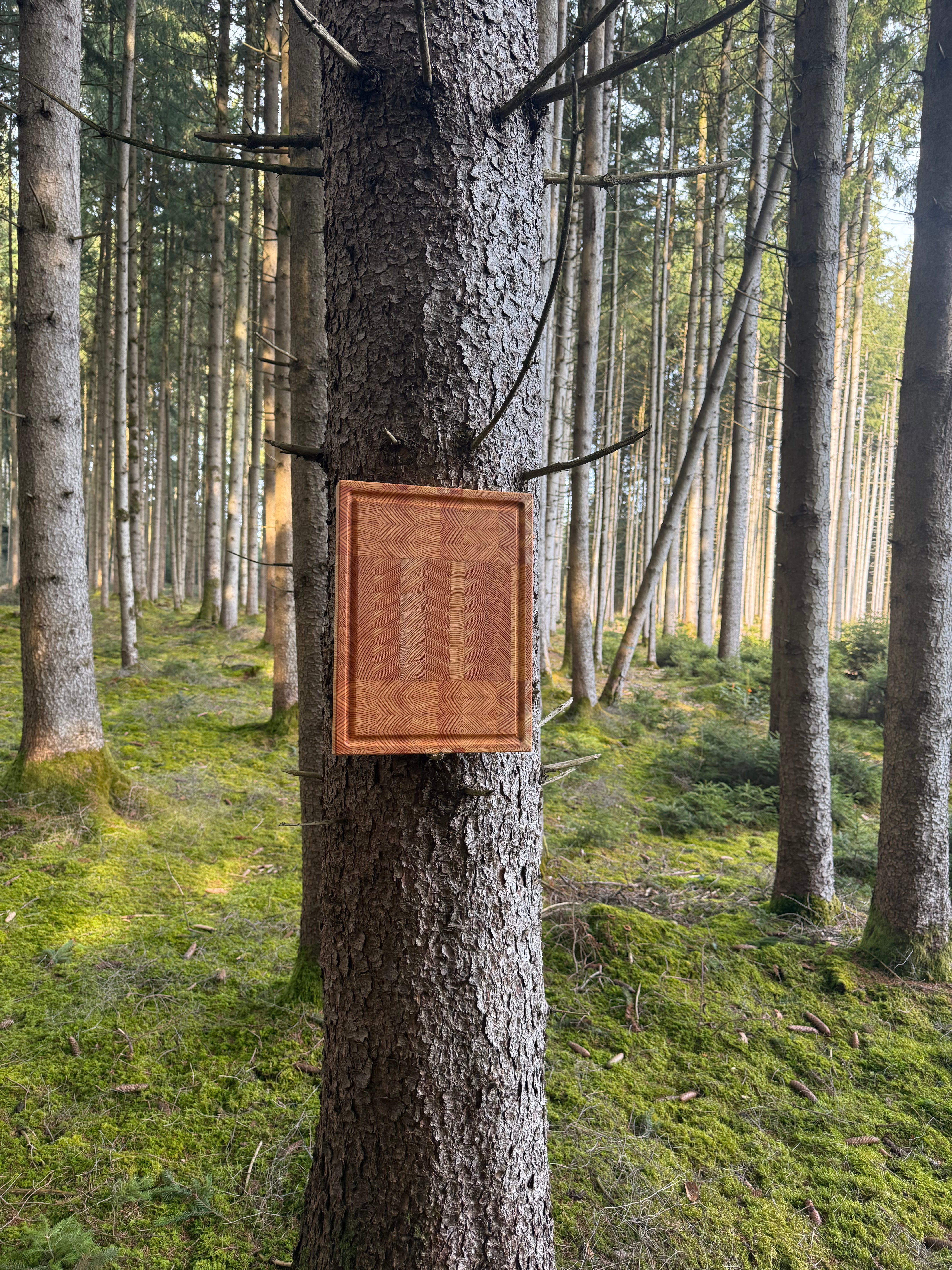 Stirnholz Schneidebrett aus Holz von Holz Leidenschaft an einem Baum im Wald – handgefertigtes Schneidebrett aus der Schreinerei