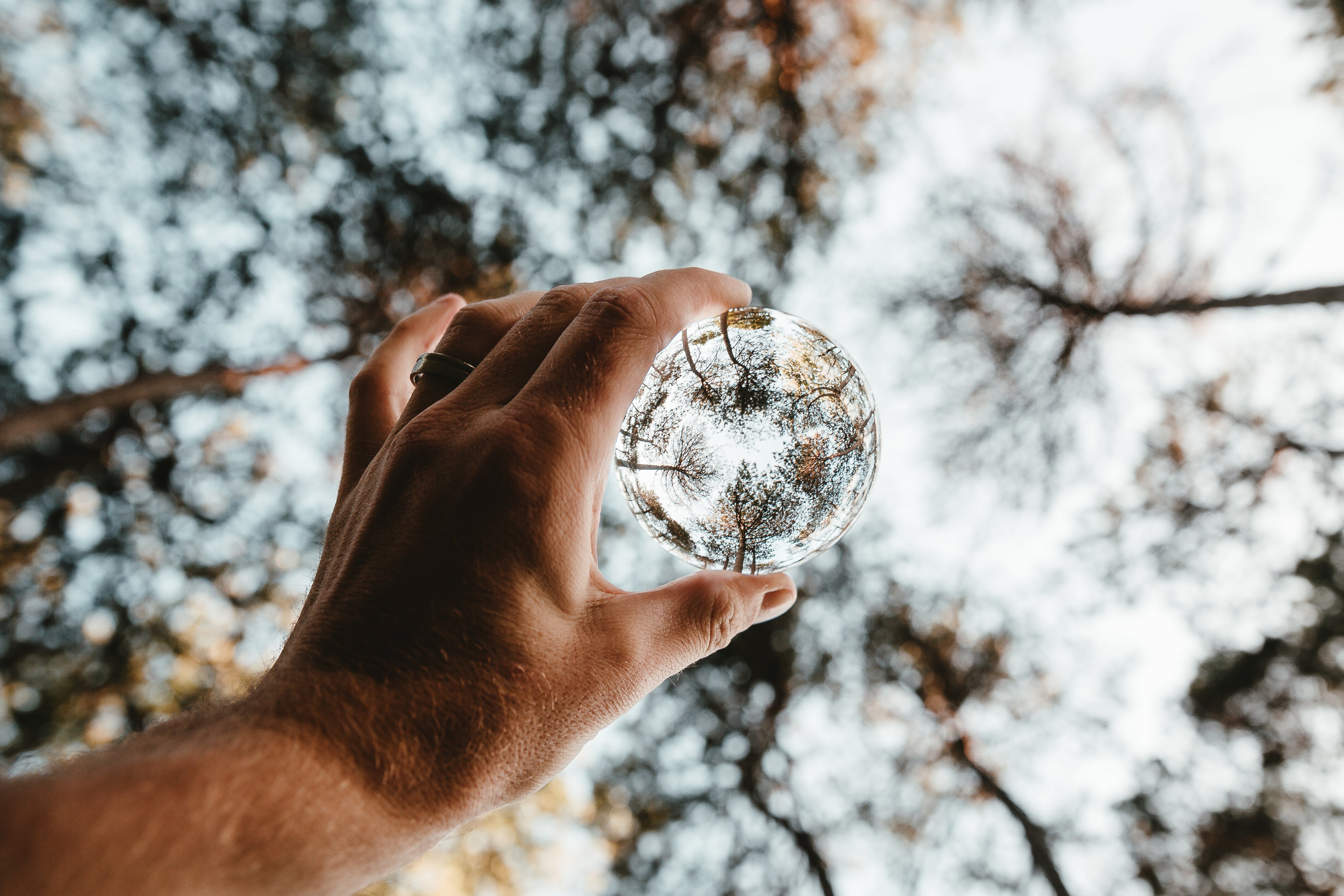 Hand hält Glaskugel mit Spiegelung von Bäumen als Symbol für Natur, Wald und Nachhaltigkeit